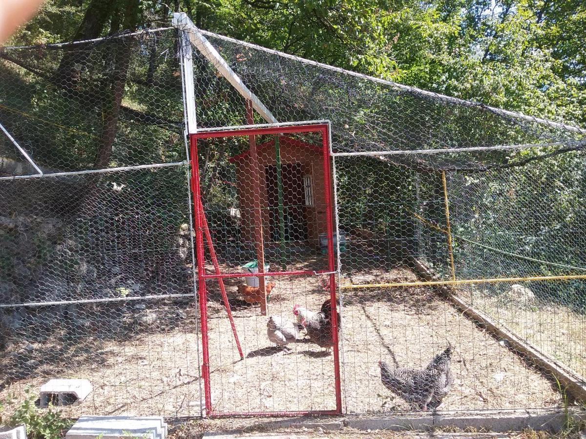 Chambres d'hôtes Le Pourcel Sospel Exterior foto
